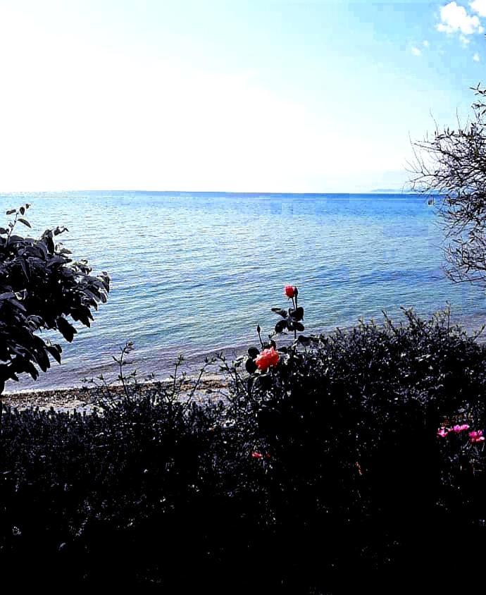 Mare Nostrum Neos Marmaras Exterior photo